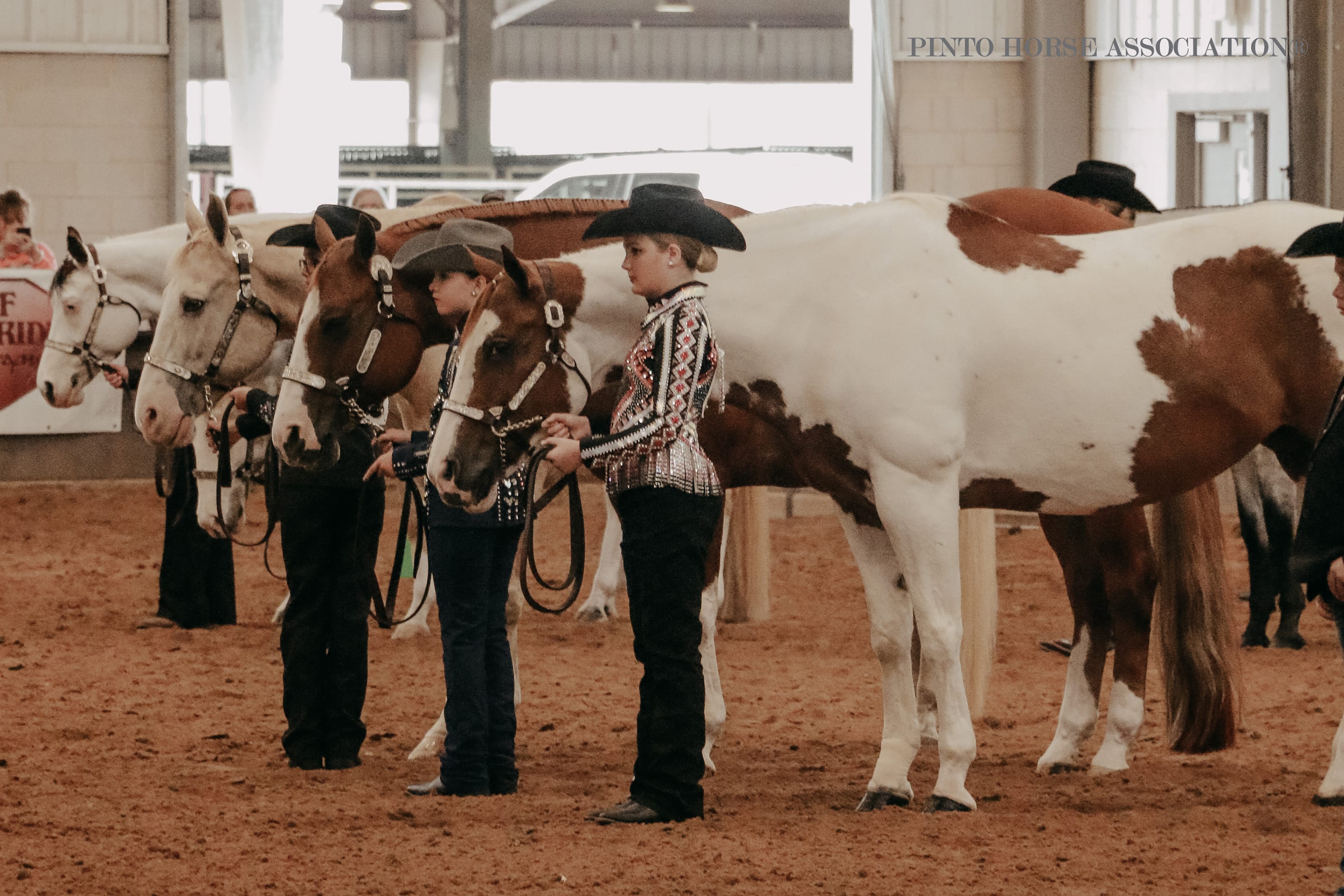 The 2025 Color Breed Congress The 2025 Color Breed Congress